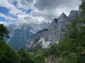 2249 attacchi a settimana