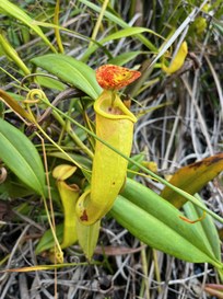 Come gestire i dati in ambito IA