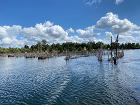 Da sviluppatori a utenti: da “Dynatrace a Dynatrace”