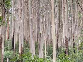 Il Disaster Recovery as a Service di Acronis