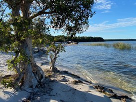 L’AI agentica avanza a un gran ritmo