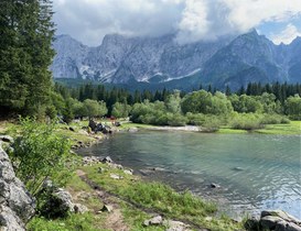 Microsoft e Open-es in aiuto delle imprese