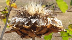 Miniere di dati congelati valorizzate dall’LM