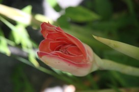 VULNERABILITA'